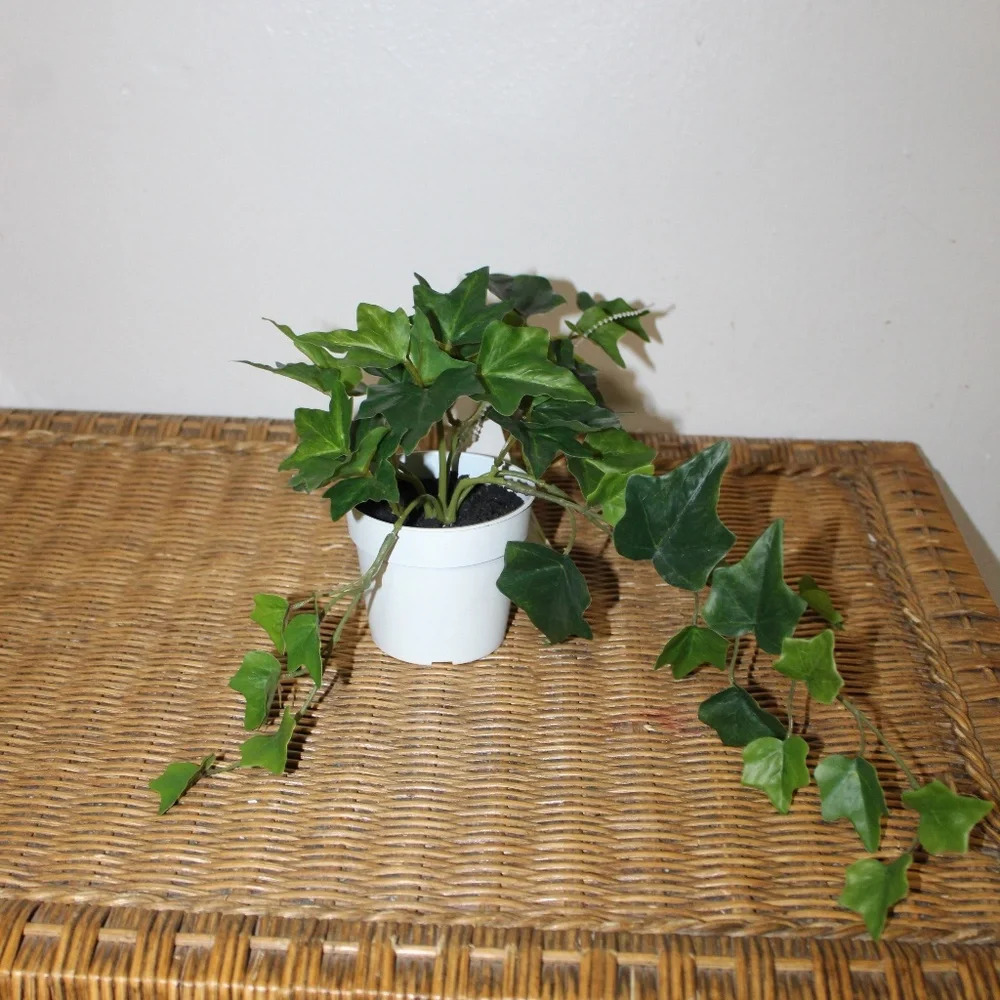 Williams Sonoma Artificial Potted Green Leaf.
